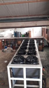 WhatsApp Image 2026-02-12 at 20.34.37 (3)