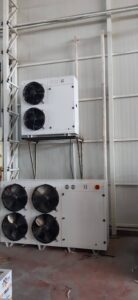 WhatsApp Image 2026-02-12 at 20.34.38 (1)