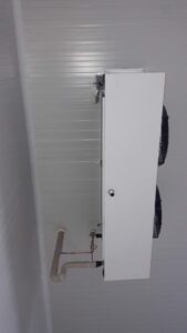 WhatsApp Image 2026-02-12 at 20.34.40