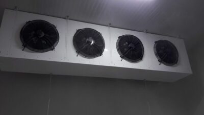 WhatsApp Image 2026-02-12 at 20.34.40 (2)