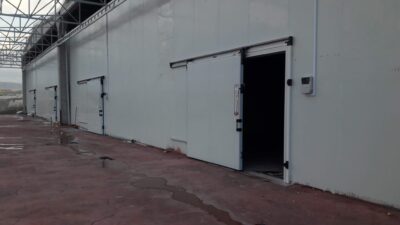 WhatsApp Image 2026-02-12 at 20.35.08 (2)