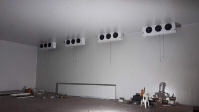 WhatsApp Image 2026-02-12 at 20.35.09 (1)