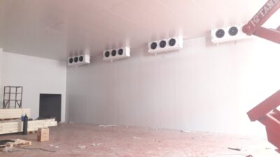 WhatsApp Image 2026-02-12 at 20.35.09 (5)