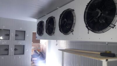 WhatsApp Image 2026-02-12 at 20.35.10 (1)