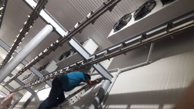 WhatsApp Image 2026-02-12 at 20.35.10