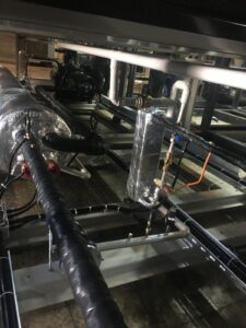 WhatsApp Image 2026-02-12 at 20.35.11 (3)