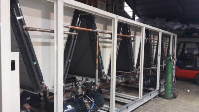 WhatsApp Image 2026-02-12 at 20.35.11